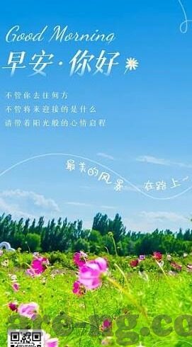 今日足球竞彩比分-今日足球竞彩比分，赛场风云变幻，彩民智慧博弈